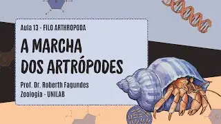 A MARCHA DOS ARTRÓPODES: EVOLUÇÃO DOS APÊNDICES (FILO ARTHROPODA - AULA 13)