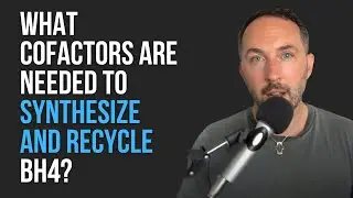 What cofactors are needed to synthesize and recycle BH4?