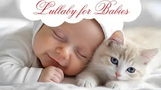 Lullaby for Babies to go to Sleep | Cute Music for Babies | Baby Lullaby songs go to sleep 12 HOURS