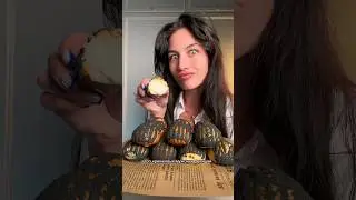 Как вам такие эклеры?🥹 Рецепт уже в комментариях❤️#еда #жиза #отношения #рецепт #рецепты #эклеры