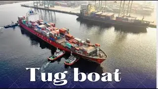 #short / Berthing operation using tug boats