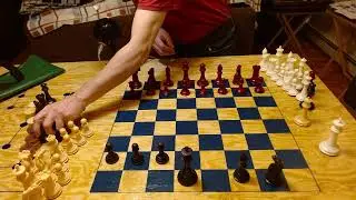 The Collector series Chess pieces in 4 colors