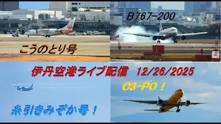 天草エアライン・みぞか号 生中継！伊丹空港!!  Plane Spotting Itami Airport 12/26/2025
