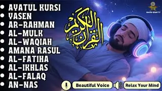 Quran recitation in a peaceful voice I Alfatiha, Yasin ,Arrahman ,AlWaqiah ,Almulk -By Alaa Aqel