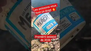 Les poissons vous font un doigt 🖕 - Premi&egrave;re session de 2026