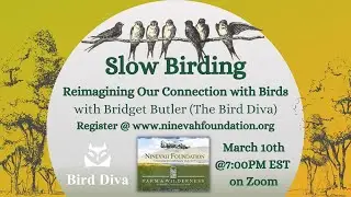 Slow Birding with Bridget Butler 3.10.22