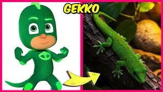 Pj Masks Characters As Pets + Voice quiz + Real one Quiz + Their Favorites! | Catboy, Owlette, Gekko