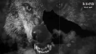 KROD - BLACK WOLF (Black Metal Chileno/DSBM)