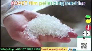 BOPET film pelletizing machine-------0086 137 7626 4189