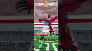 Defeating a yveltal raid boss in pokemon go
