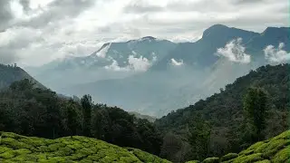||The Beauty of Munnar 🌲♥️ vlog part-2||