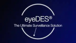 The Explainable AI Surveillance Solutions for the Financial Markets