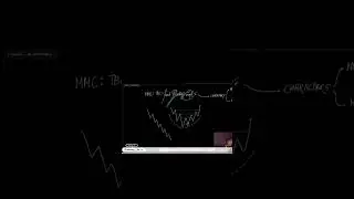 TBC CONCEPT BY CANDLE KING