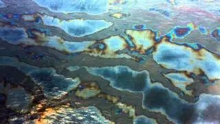 Cove Point: A Threat to Maryland