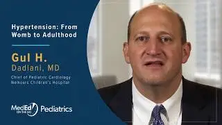 Hypertension: From Womb to Adulthood