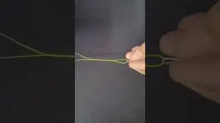 Os principais n&oacute; para SNAP e ANZOL