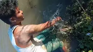 amazing village boy catching mud crab in hole boy hands citching_ crabs_by_hand_ in_mud