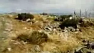 PIETROSU.flv