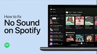 How To Fix No Sound when Playing Music on Spotify - Windows