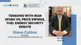 Tensions With Iran Spark Oil Price Swings, Fuel Energy Security Debate | Steve Cotton