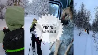 Winterland - Lyngenin  sadepäivät
