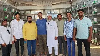AR Pigeon Farm