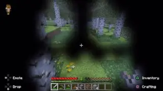 How Long Can I Survive In Minecraft With A Pumpkin On My Head?