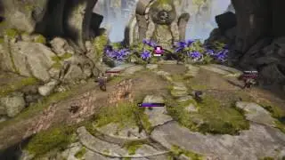The Master of Jukes