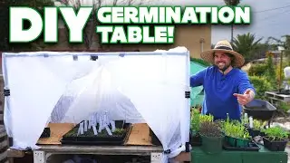 I Finally Built The Seedling Table I Wanted!