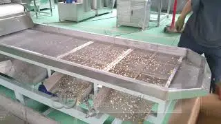 Peanut Almond Chopping Dicing Machine|Almond Particle Cutter Machine From 008613015518550