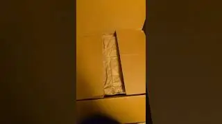 Unknown Comics Short Box Shipping  Method. (arrived with no damage)