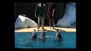Marine World Redwood City 1990