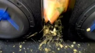 Bass explodes bag of chips
