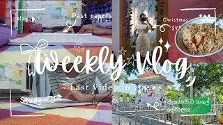 *±•Weekly Vlog🧸🤍 || A random productive week 📚🎧✨️ || Last Video in 2025🦋 || studying 📑 | going out 💸