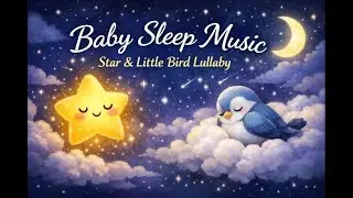 Baby Sleep Music 🌙 Star & Little Bird Lullaby | Calming Bedtime Music for Babies