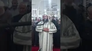 A live broadcast caught the moment a cat jumped on an imam leading Ramadan prayers #BBCNews