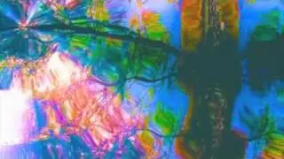 Hazey, Happy - Dr. Buddha