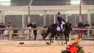 Mistral du Coussoul Vidauban Spring Tour 2013