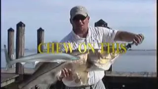 Monster Snook eats Ladyfish! Ft. Myers Florida Fishing Charters - Saltwater Fishing Trips Tours