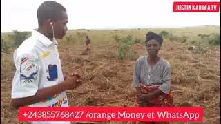 NOUS SOMMES À LUPATAPATA, SECTEUR DE MUKUMBI, GROUPEMENT DE BAKWA NSUMPI, VILLAGE DE BENA NTUMBA.