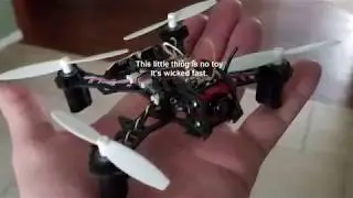 Eachine QX 105 Bat