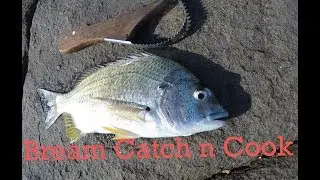Bream Catch n Cook | Rock Fishing Yamba | TFF