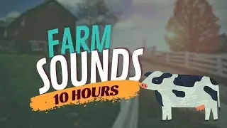 Farm Sounds & Farm Animal Noise (10 Hours) | Calming Audio