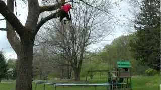 TReeAMP