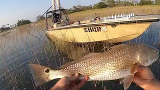 First 2021 Redfish on a Floodtide -- Charleston, SC