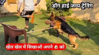 Don&rsquo;t miss this amazing tip for your dog #dogtraining #germanshepherd