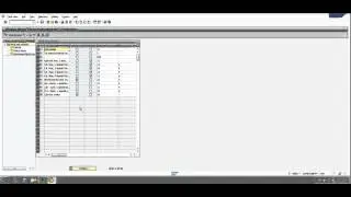 SAP FI - Maintain Fiscal Year Variant