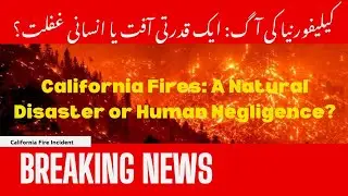 California Fires: A Natural Disaster or Human Negligence? #california #wildfire #TheTrenrZone-r6w