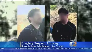 Audio: Suspect In Calabasas, Malibu Burglaries Has Meltdown In Court