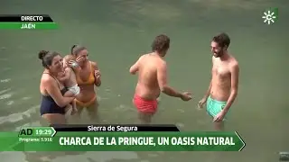 Charca de la Pringue, Villanueva del Arzobispo, Jaén